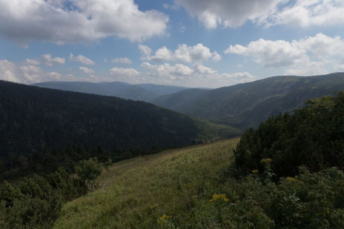 Krkonoe