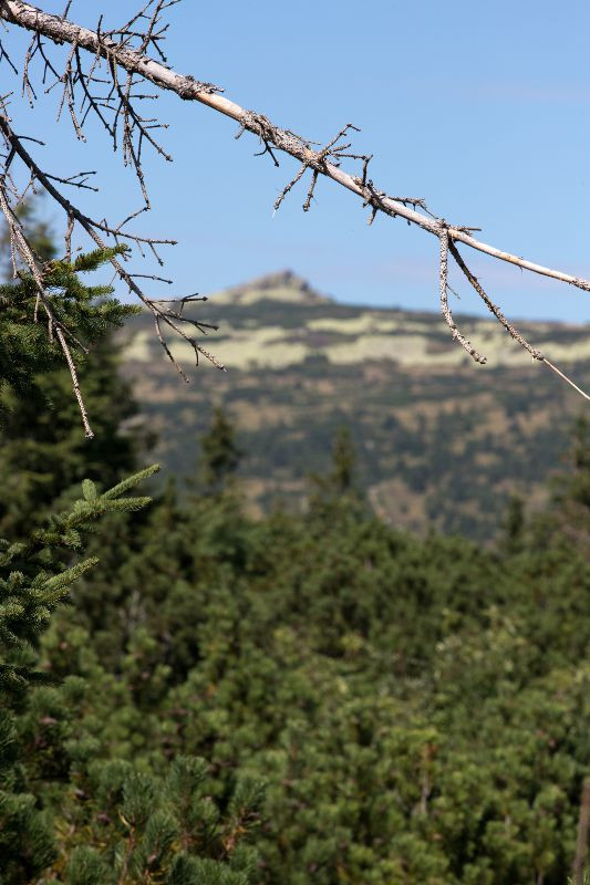 Krkonoe